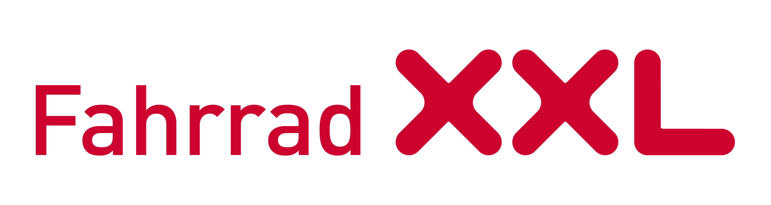 Fahrrad XXL